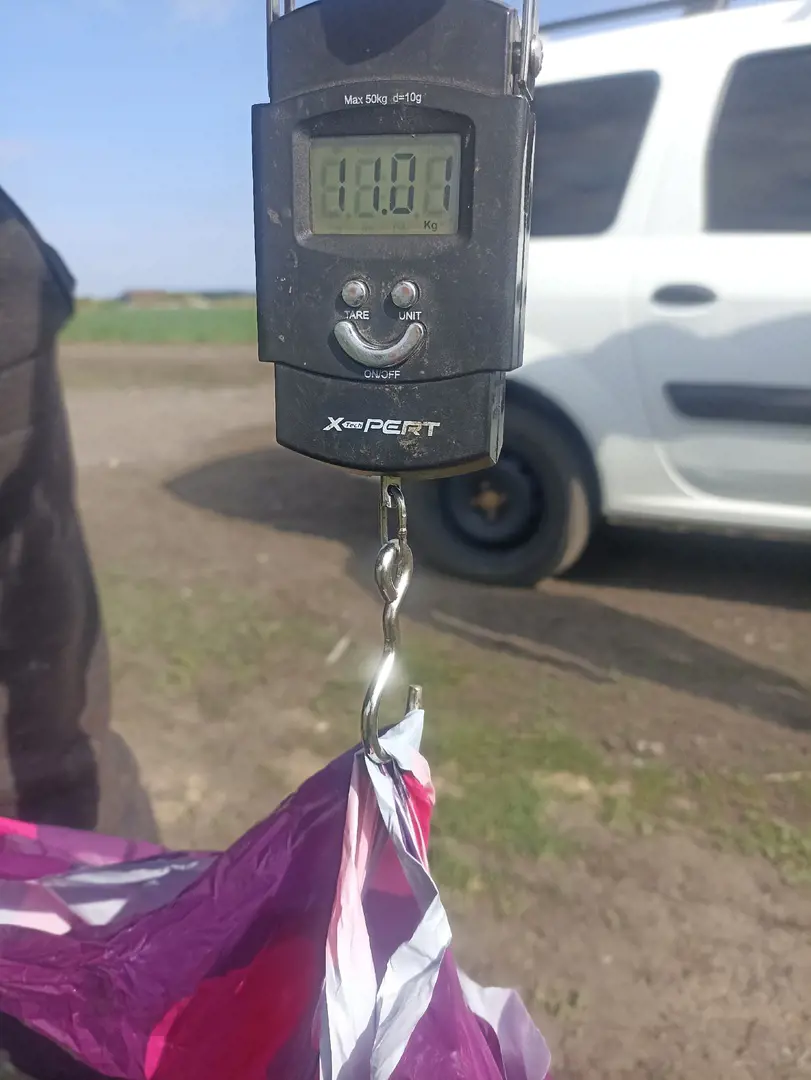 https://s3.moifotki.org/03ede13ecf4540d18cae4ecb3df937de.jpg
