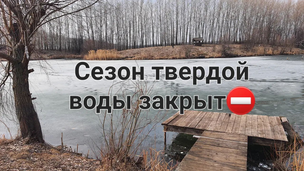 https://s3.moifotki.org/1299d93c1566497a8dbd2cac064c931a.jpg