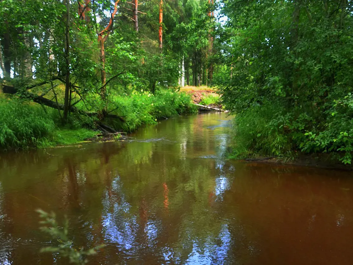 https://s3.moifotki.org/25e29d7687464f0180774b2d156e1838.jpg