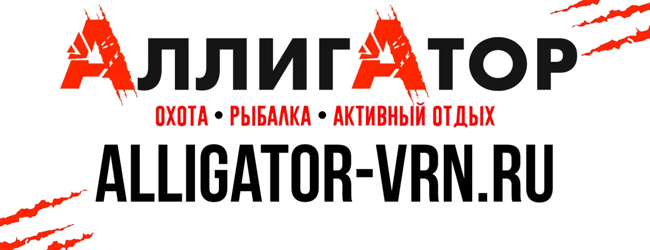 https://s3.moifotki.org/26433a8015b14c739d830155a94578fa.jpg