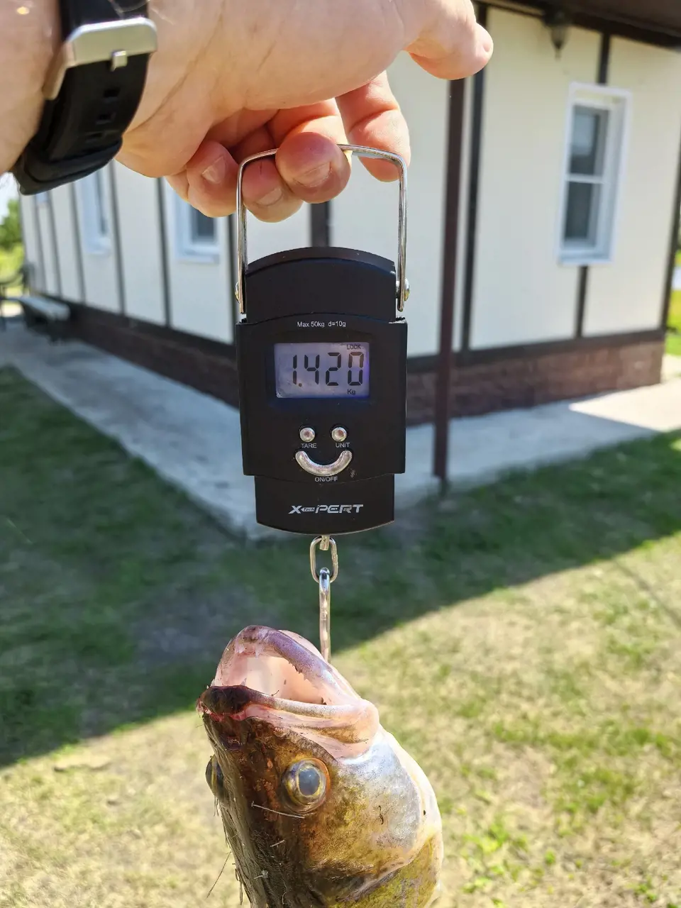 https://s3.moifotki.org/26b0c381680945019c1bfdb613b0a5fb.jpg