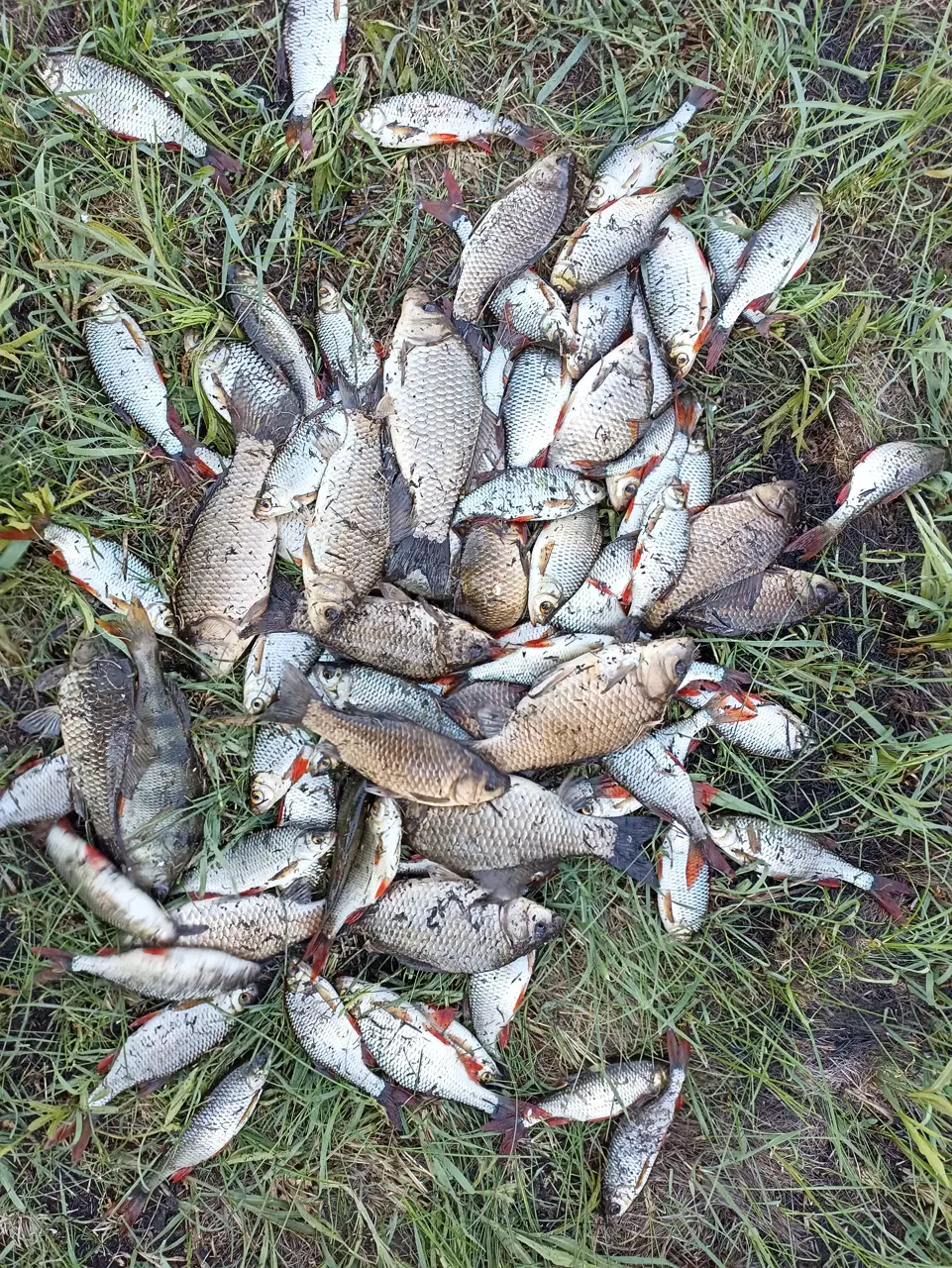 https://s3.moifotki.org/270840ec2f734fd49a8c0324cb4631fc.jpg