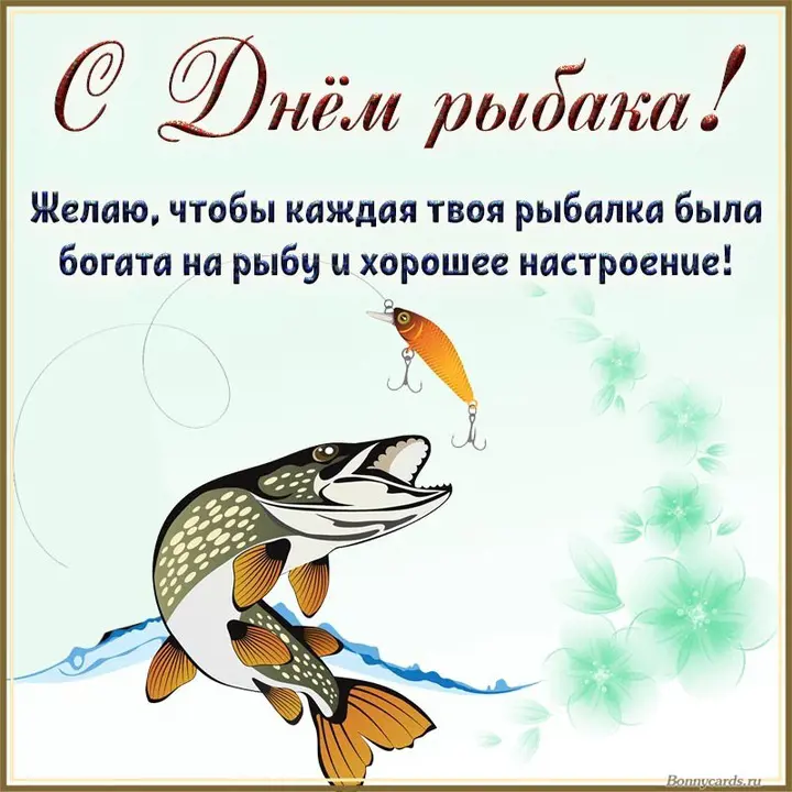 https://s3.moifotki.org/310f27b66eac466387d41fc341776e73.jpg