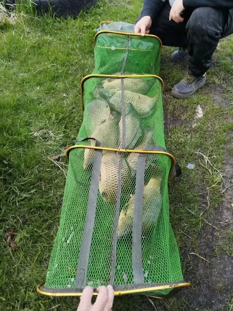 https://s3.moifotki.org/3484bdedfd5d474e8dc4a1b5bb41b39a.jpg