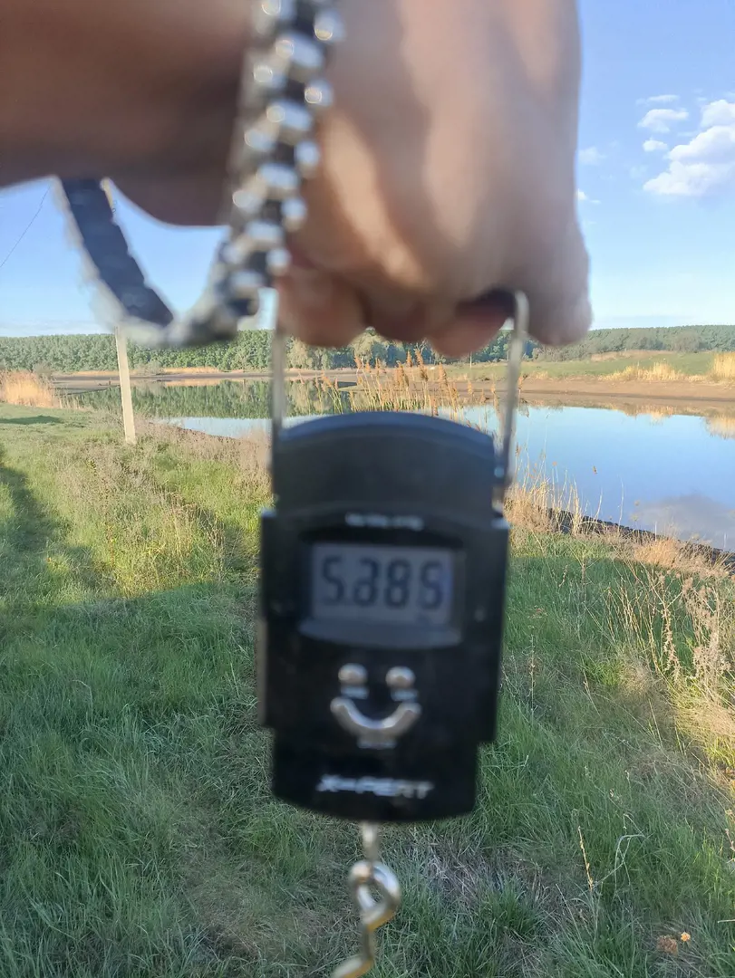 https://s3.moifotki.org/44812c9d3c7645e4aac48cdc78a0a364.jpg