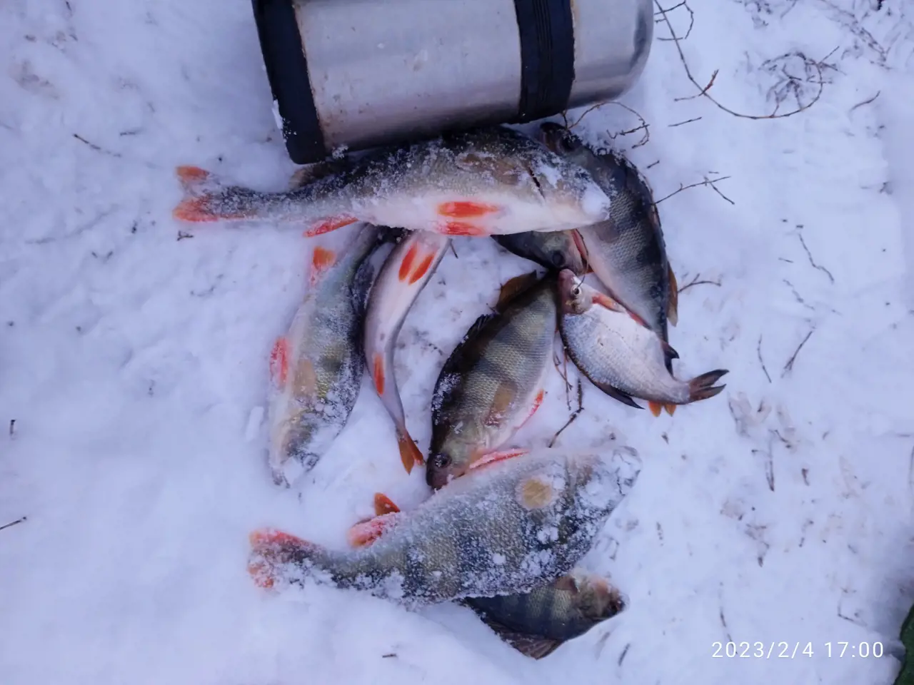 Дон 2023 рыбалка. Зимняя рыбалка. Зимняя рыбалка 2023. Зимняя рыбалка на Неро. Рыболовство зимой.