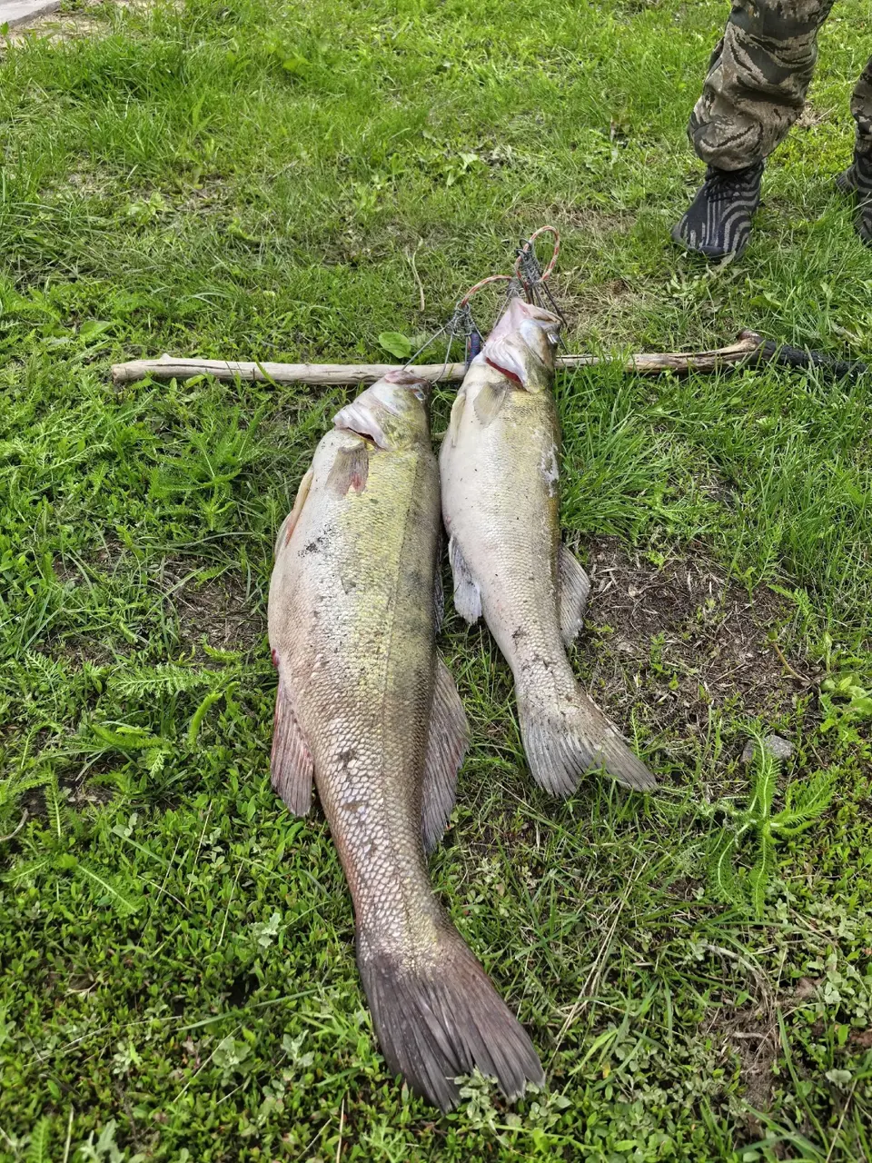https://s3.moifotki.org/4b60fbc01c0049e1aa78f38ff2f358b3.jpg