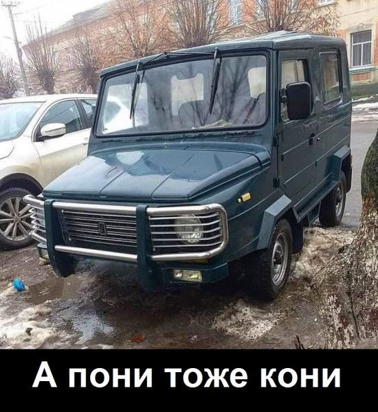 https://s3.moifotki.org/50e45b720eb80baeaa090c6fe80d3421.jpeg