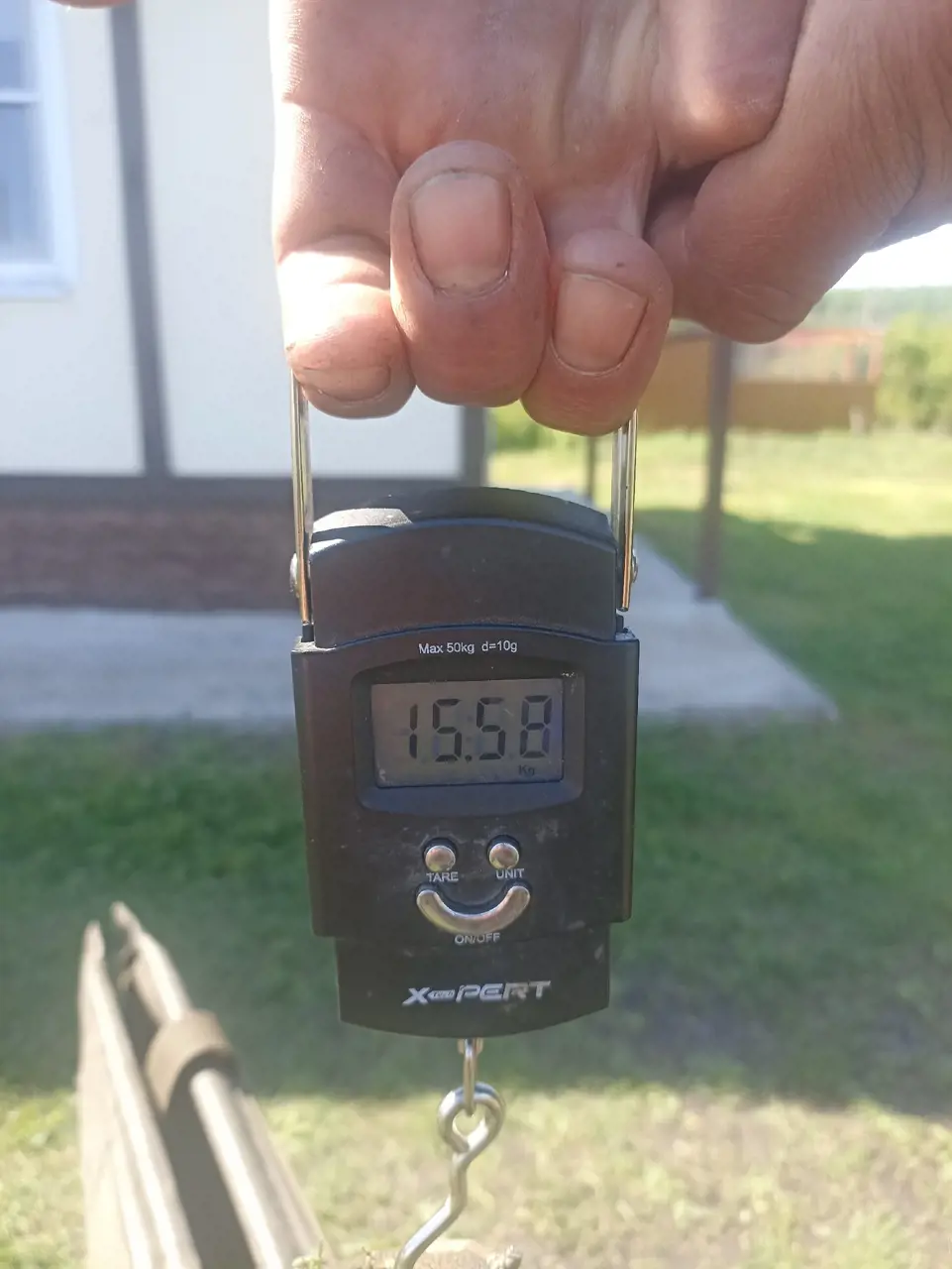 https://s3.moifotki.org/51401db707194bf7892d2889340d4c36.jpg