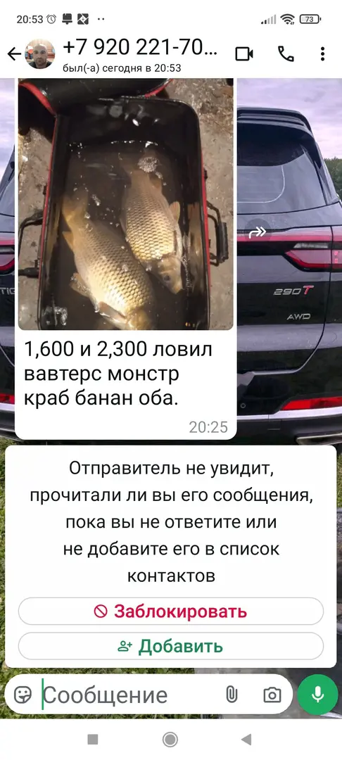 https://s3.moifotki.org/56f9f54c8f1e4594bfe68b29d6ed9e9c.jpg