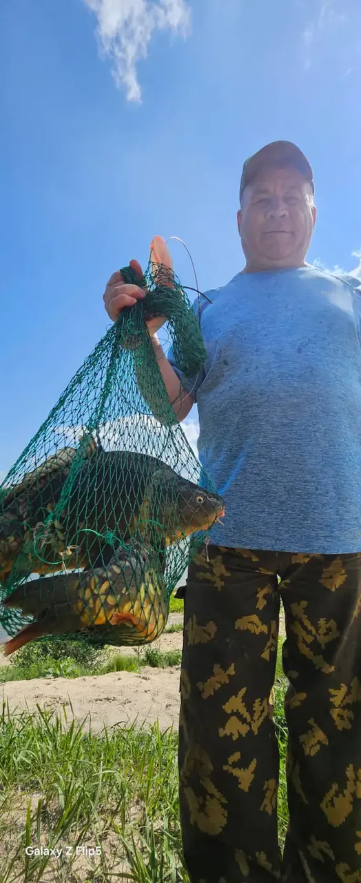 https://s3.moifotki.org/5cb8f36c8e1d4160adc8eeff2fb34c4c.jpeg