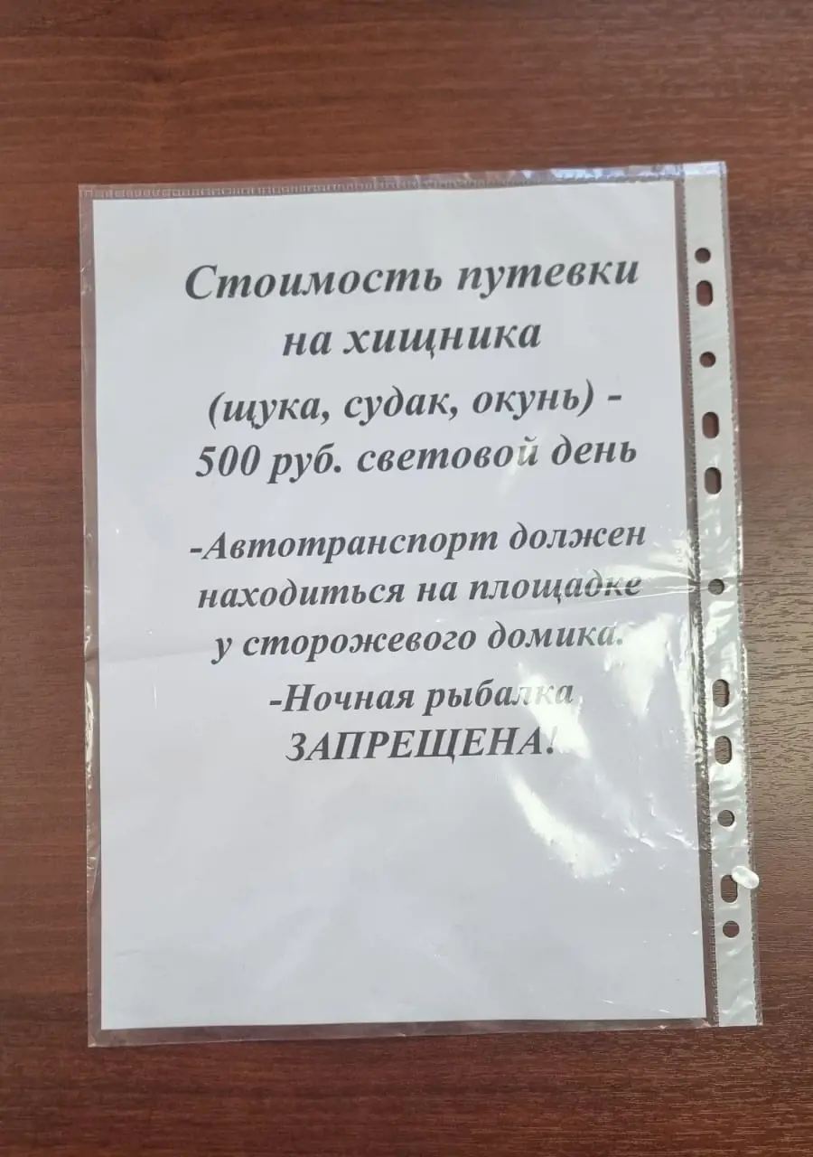 https://s3.moifotki.org/5cdbf2048aaf465a94c2e279a0c9158a.jpg