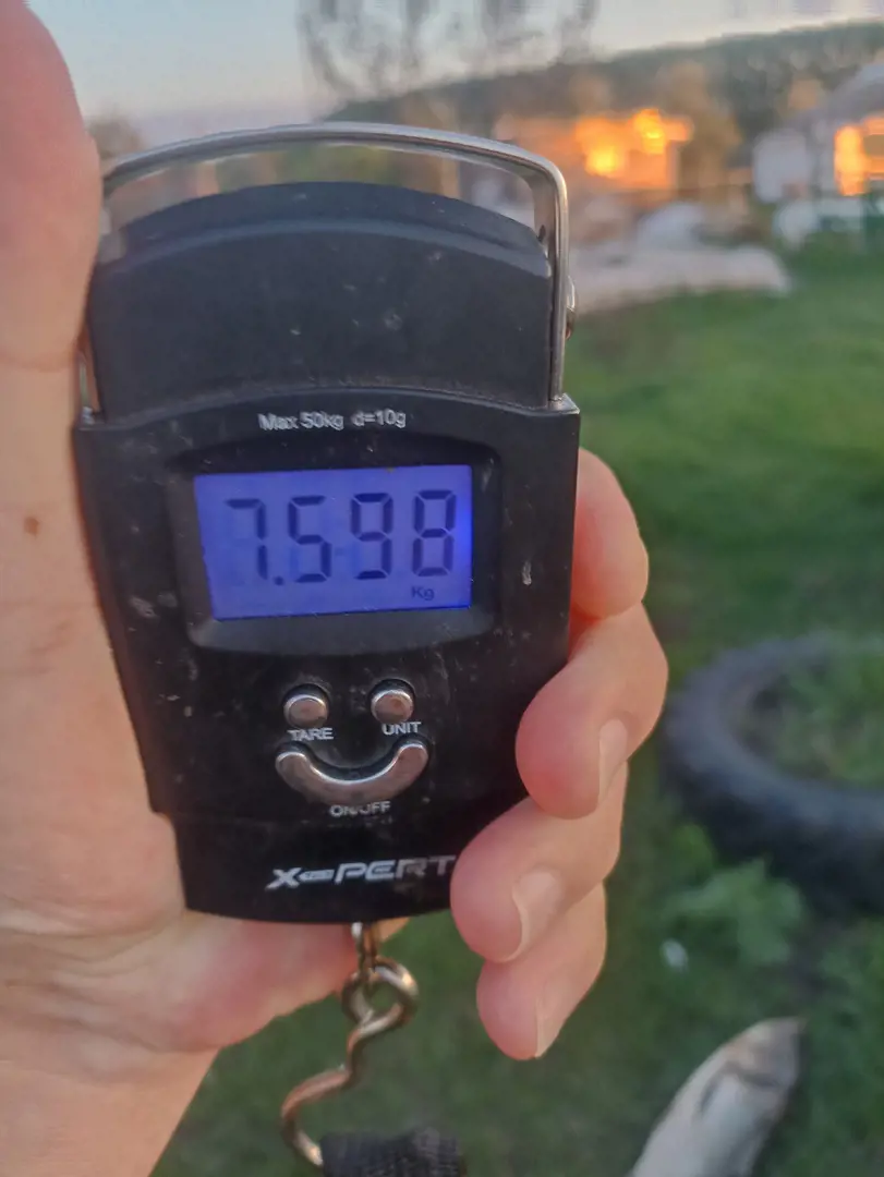 https://s3.moifotki.org/75d4b3454ecb40018f048c847a6a5d23.jpg