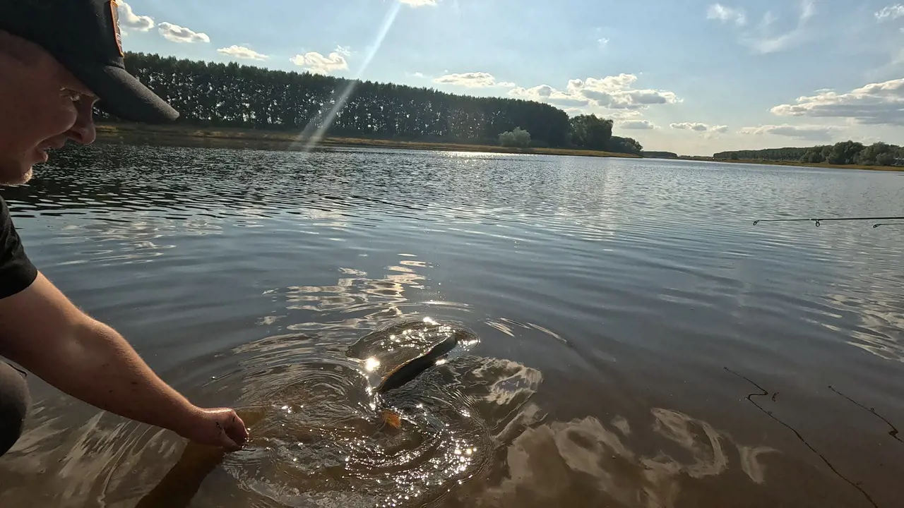 https://s3.moifotki.org/7fdb669a40e34960a742ff6265d74cee.jpg