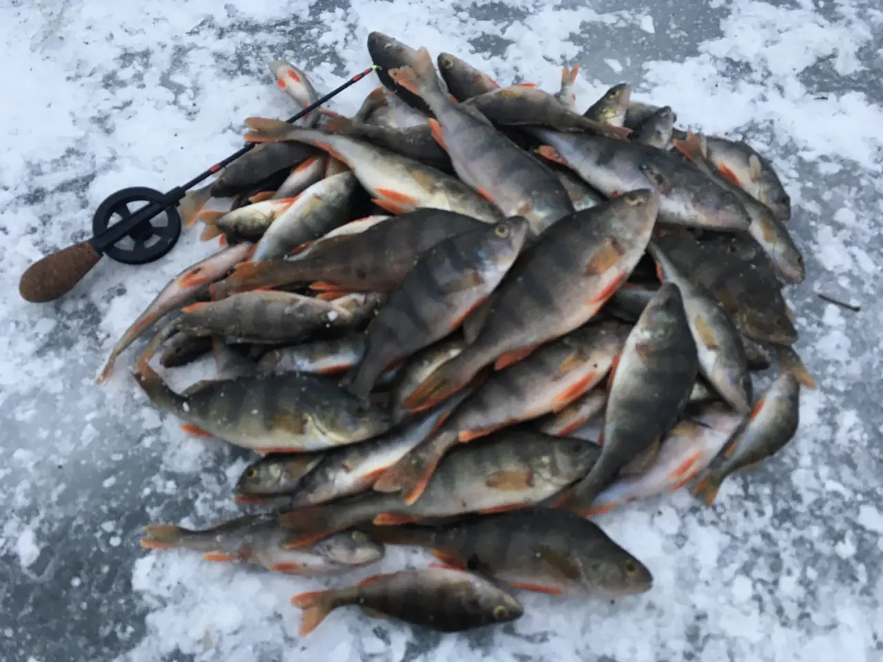 Что взять на зимнюю рыбалку