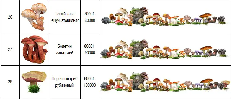 https://s3.moifotki.org/9308fa9087994030b33eeb6e1ed5664a.jpg