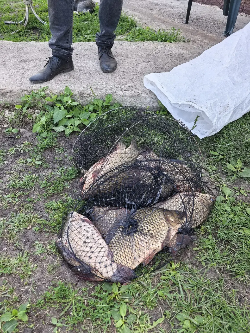 https://s3.moifotki.org/9a7f16ac3c3d4b4e805cb9a734f16e2b.jpg