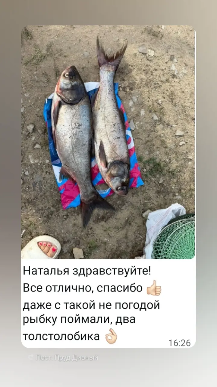 https://s3.moifotki.org/9cf0aaccde724f15b2e54b991e3b5c96.jpg