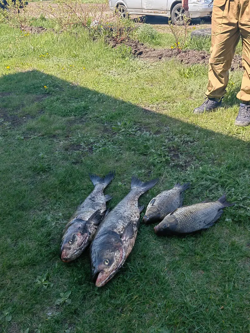 https://s3.moifotki.org/9d284b5b35f5495d9b5d131b1741118c.jpg