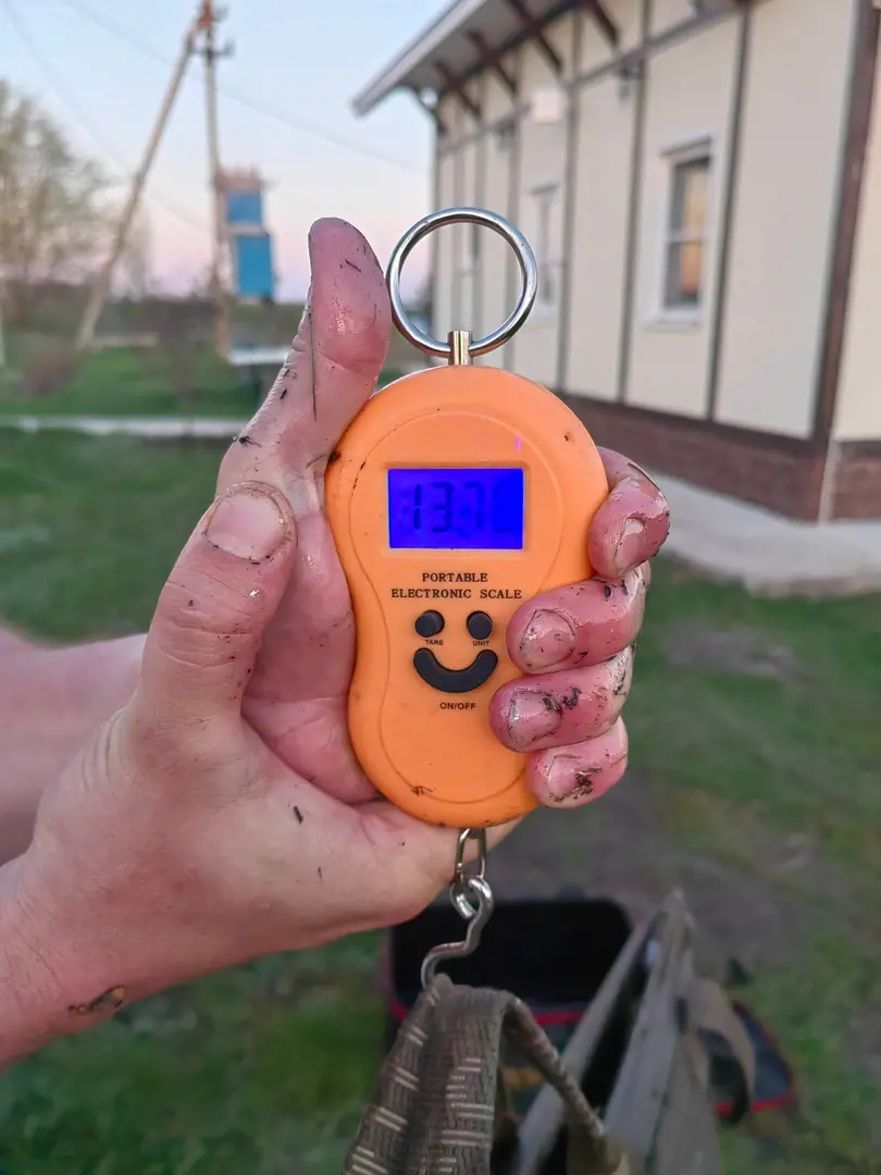 https://s3.moifotki.org/a08ec63d3b684932bef253279f950e0a.jpg