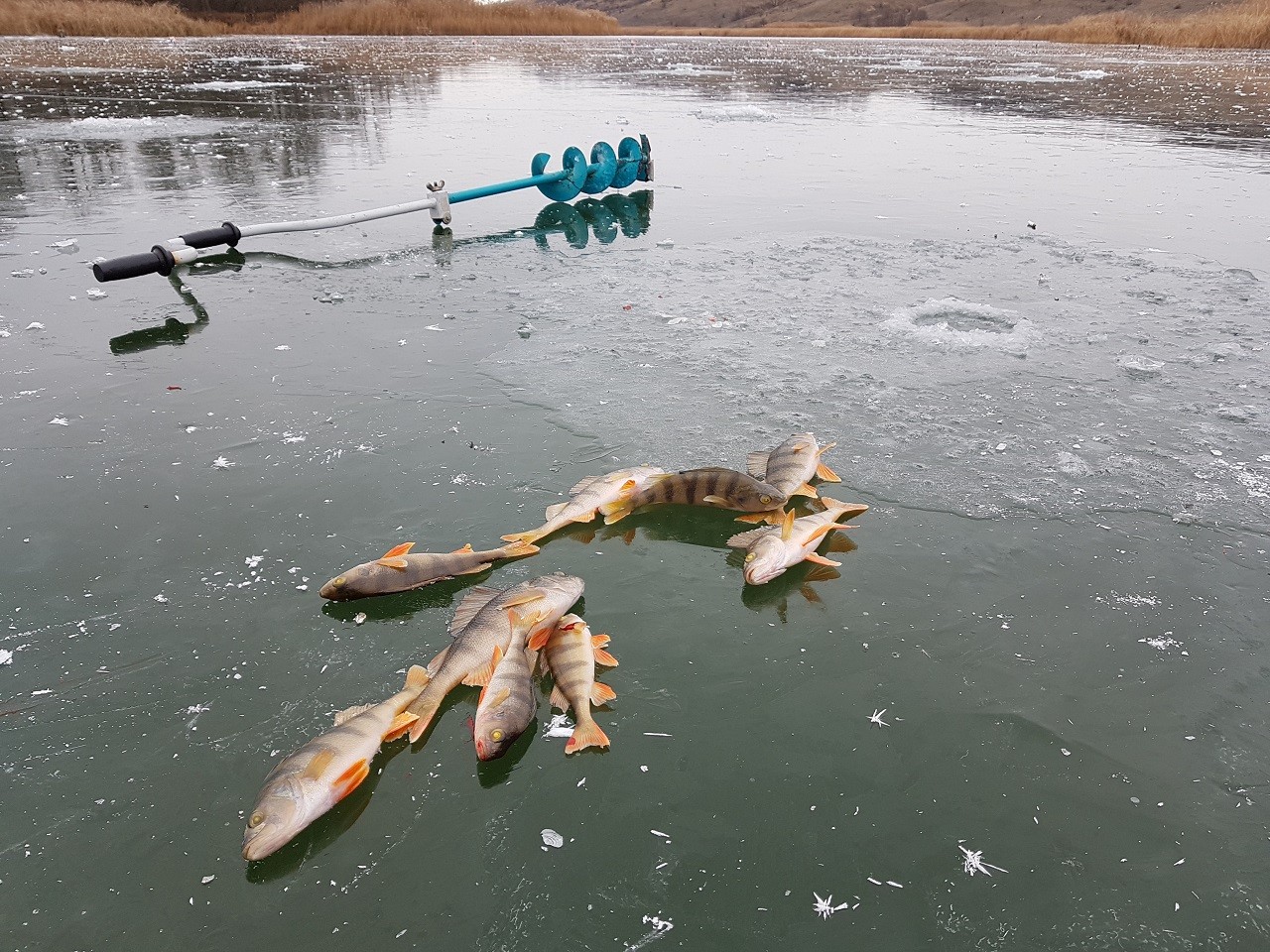 Отчеты о рыбалке на озерах. Борисовские пруды рыбалка. Рыбалка на Волге. Зимний водоем рыбалка. Зимняя рыбалка на Волге.