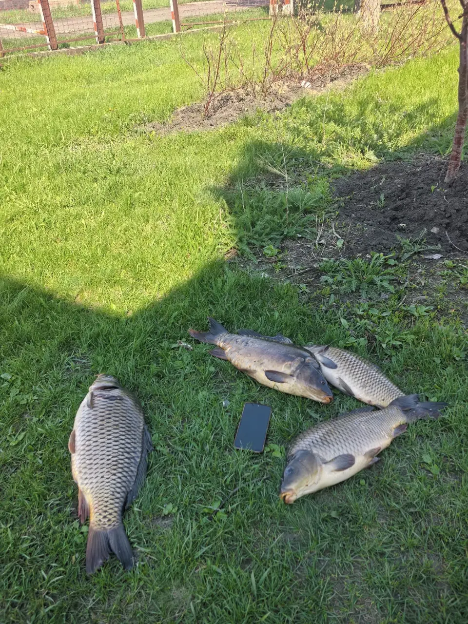 https://s3.moifotki.org/a3d423cd5bb24d8d99b3080348bdf949.jpg