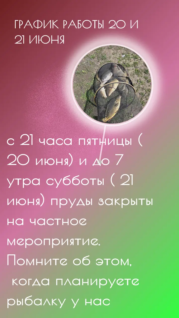 https://s3.moifotki.org/a517386432374038be6d9390944da61e.png