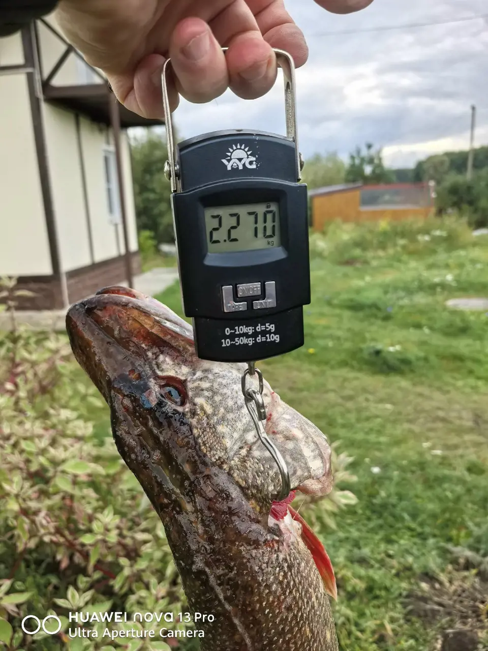 https://s3.moifotki.org/a86305552c2a454bae3d6d9f2511e5f8.jpg