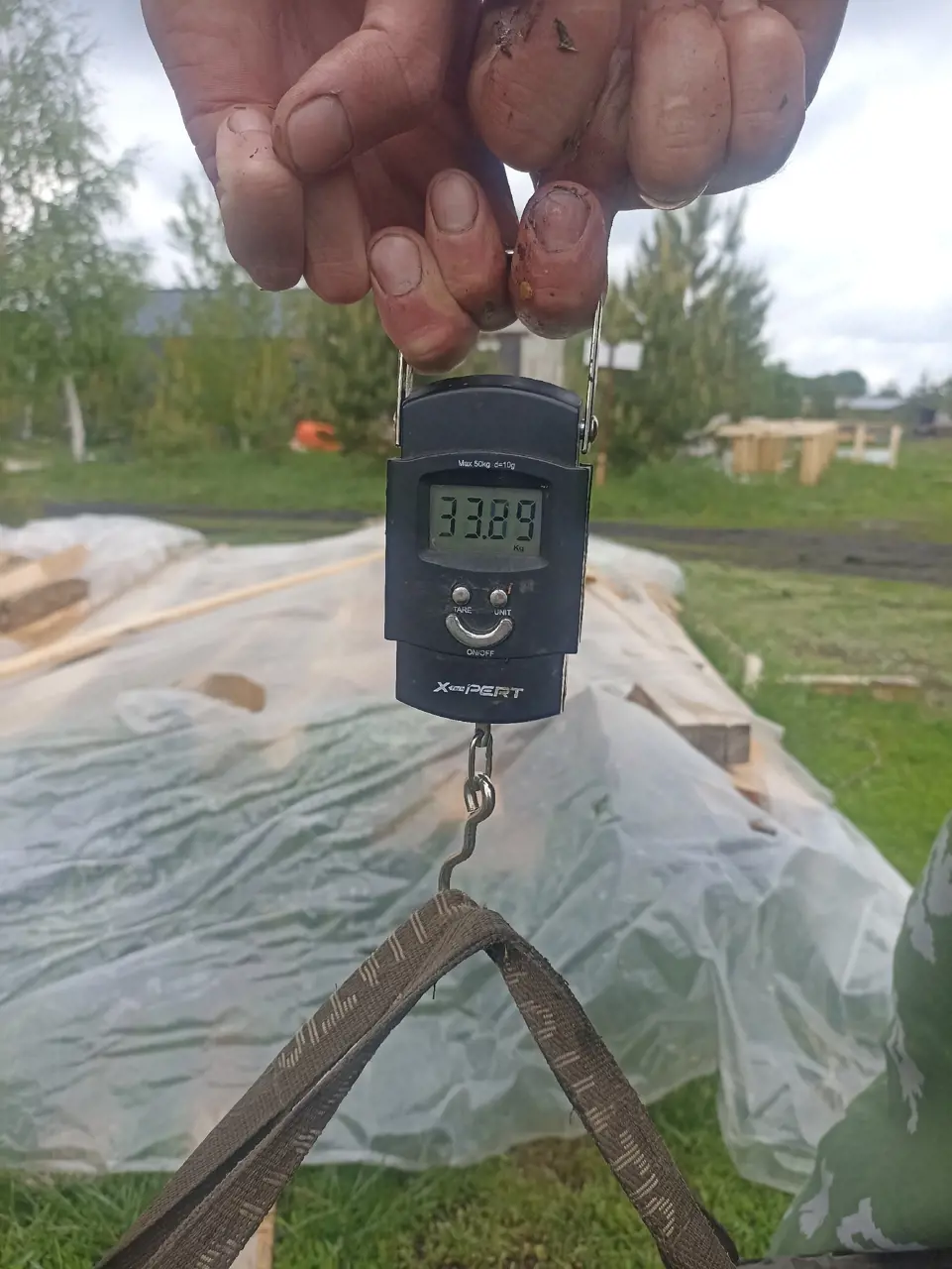 https://s3.moifotki.org/b18ac9532bb44741926448414ec5219f.jpg