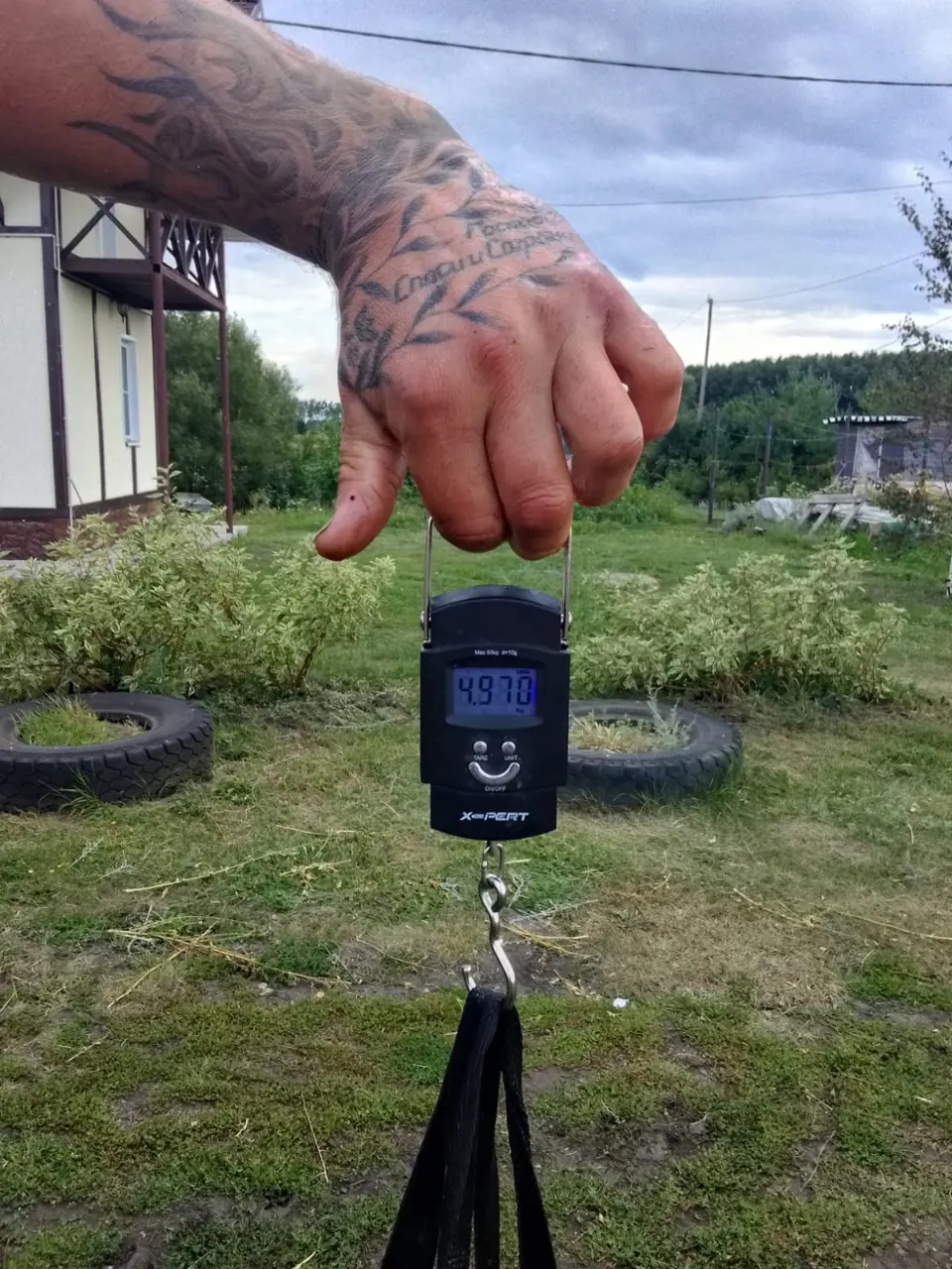 https://s3.moifotki.org/b4f044ce12e54a8ba149cdcf34004511.jpg