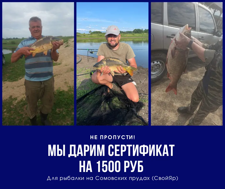https://s3.moifotki.org/b86935b66c1e4bfda8fe501022b4517d.png