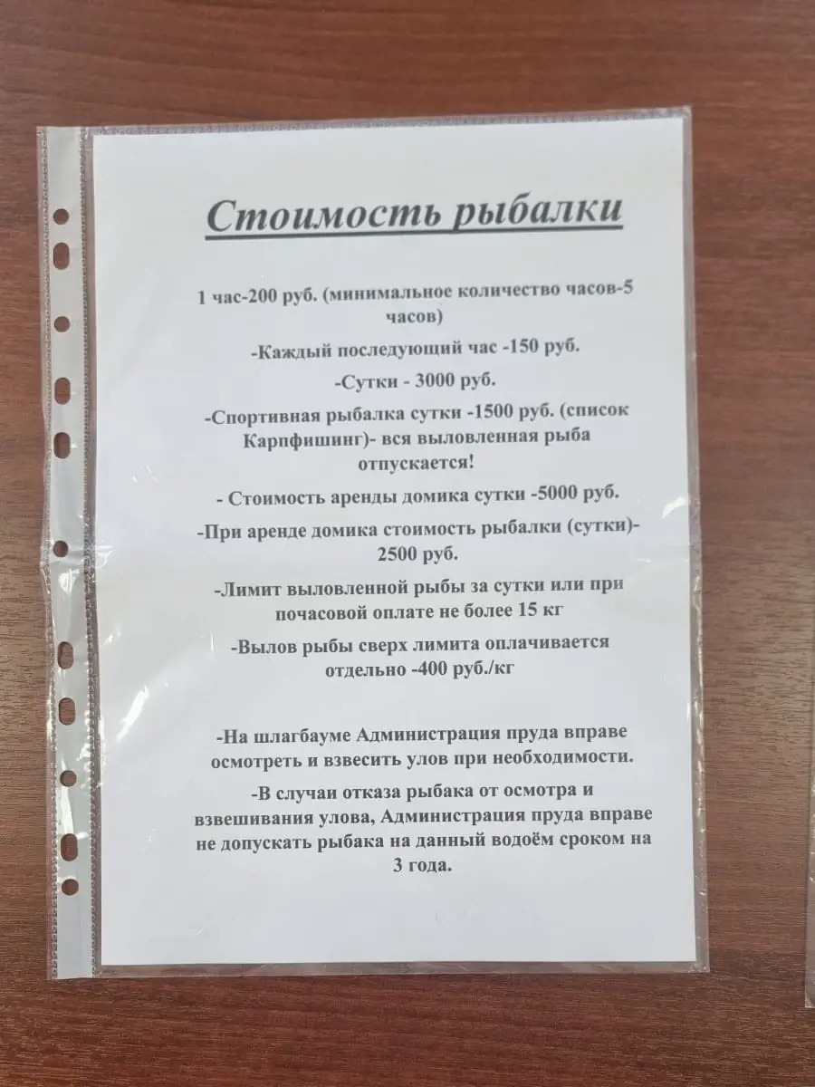 https://s3.moifotki.org/ca771ef504c74bd694cfdfbddab2bfdc.jpg