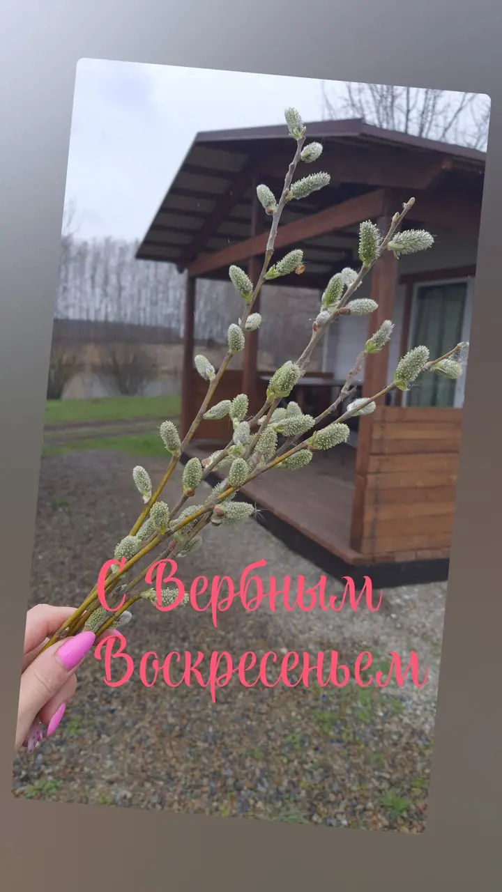 https://s3.moifotki.org/caa9a94340b3418681ff934679a51ac2.jpg