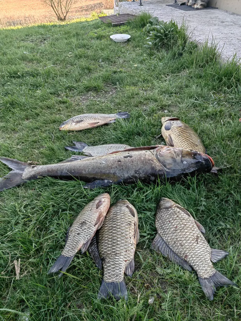 https://s3.moifotki.org/cb07d622a3894adc9b71eb6cc27739a5.jpg