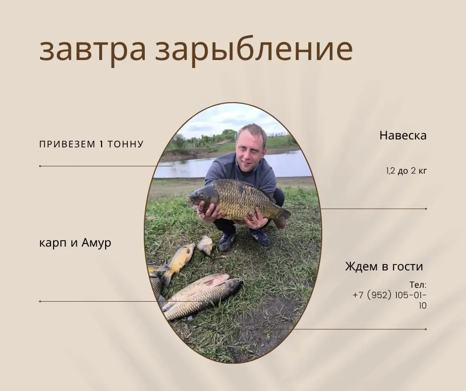 https://s3.moifotki.org/cddc02eddcdb41cf896d6d7c167f0358.png