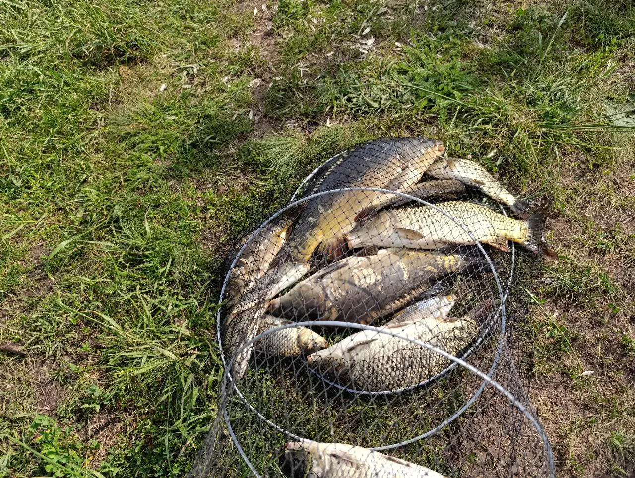 https://s3.moifotki.org/d470affe6d0045a0b6e89683b82de3b1.jpg