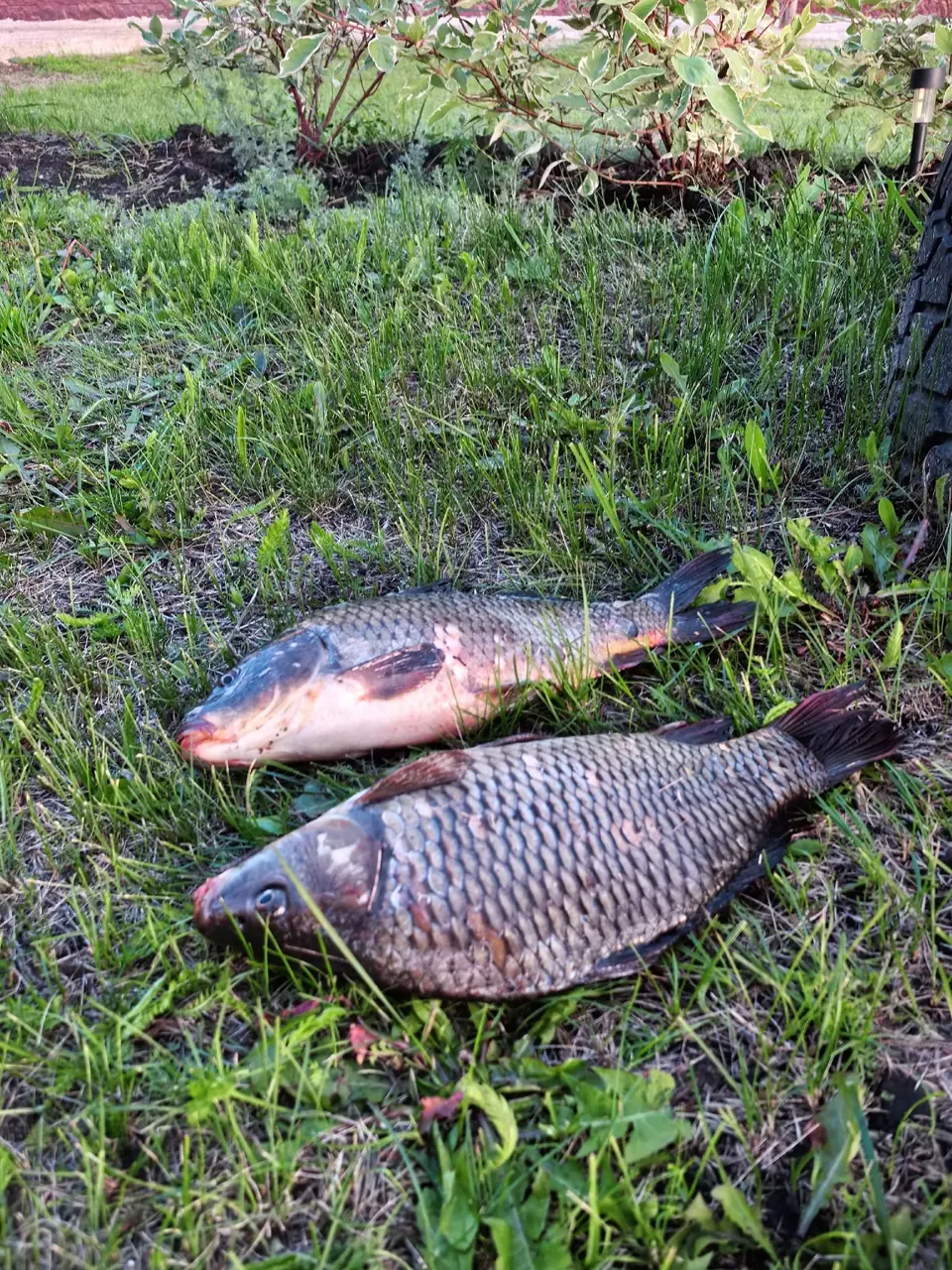 https://s3.moifotki.org/d6d0884484ae42cbb6c0beae53b5cc3f.jpg