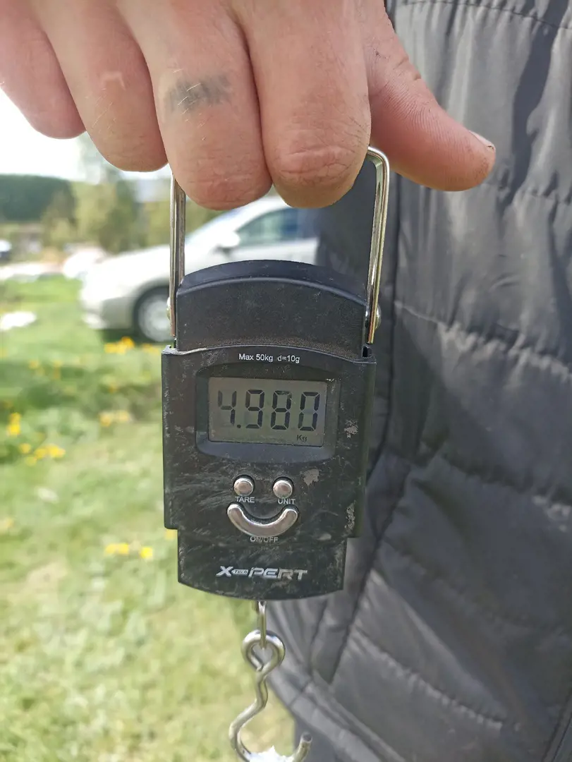 https://s3.moifotki.org/da69720b515e45f89061b747e18b28dc.jpg