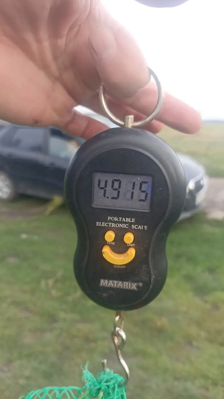 https://s3.moifotki.org/dcbca2059a5c468e9f91e5a05d4219e7.jpg