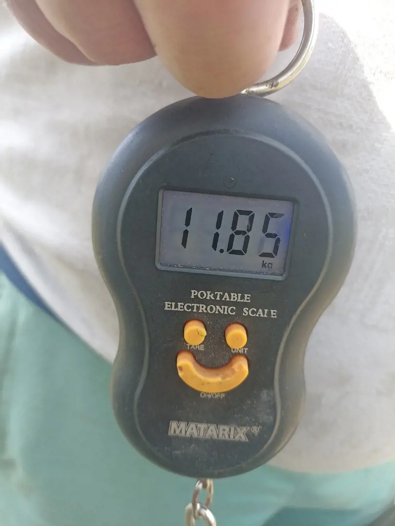 https://s3.moifotki.org/e2b2051d0068497fb9aaec397bba6ebc.jpg