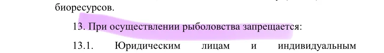 https://s3.moifotki.org/e2f626579d4f4602ab0ff06a103399a4.jpeg