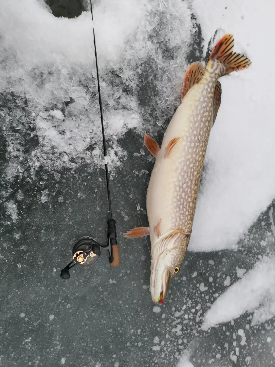 Зимняя рыбалка и всё что с ней связано
