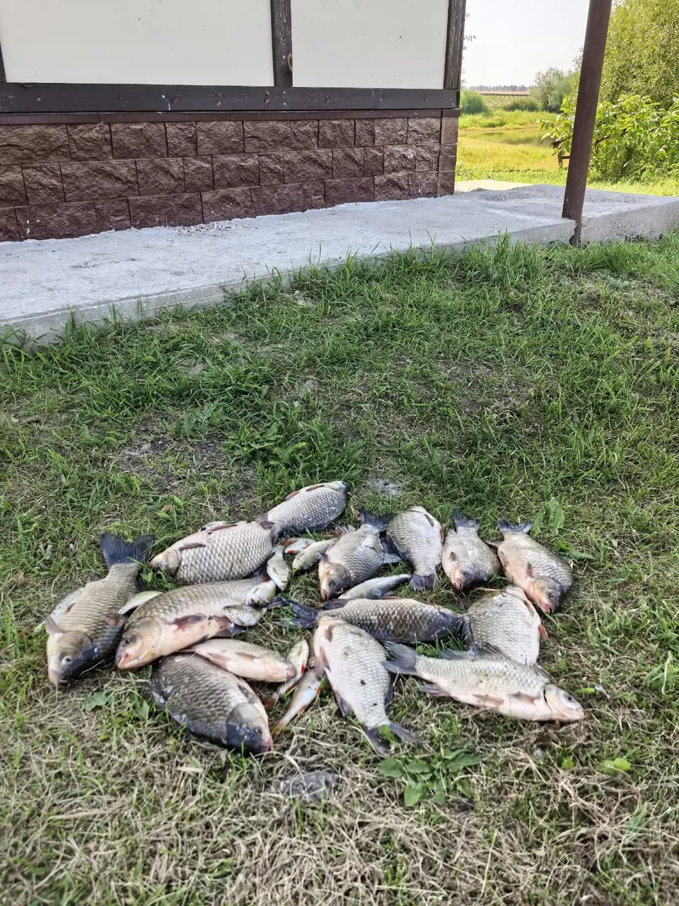 https://s3.moifotki.org/f62ce618b17e40ce80843e2ae601bd11.jpg