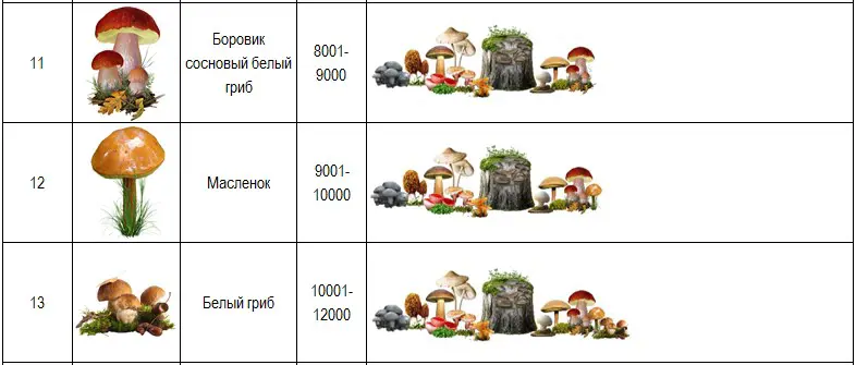 https://s3.moifotki.org/faa4e0d33e2949cd93b3720f831aaa27.jpg