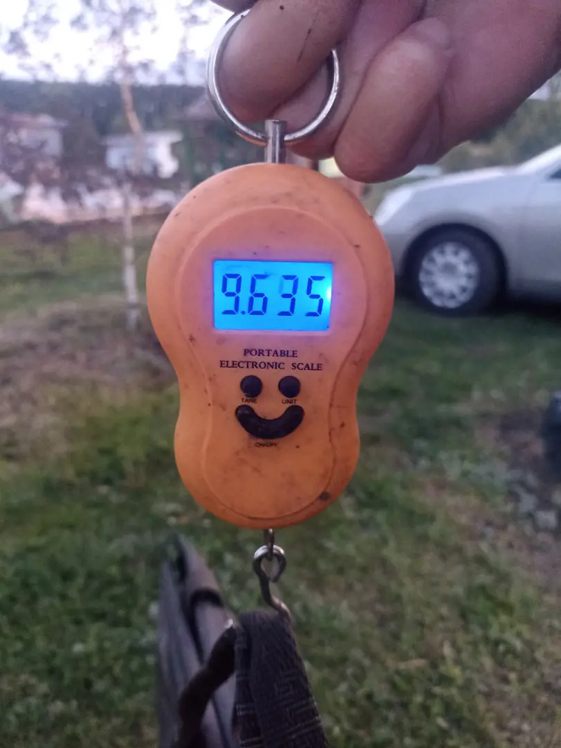 https://s3.moifotki.org/fab29d6375254233b57d52fe56422d87.jpg