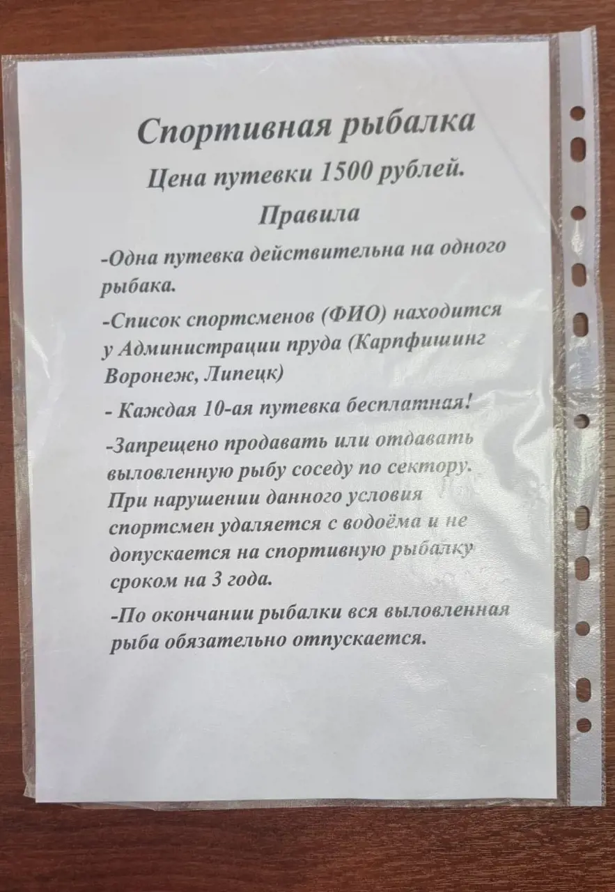https://s3.moifotki.org/fe9d4e66f60942e69abcf0809c2adfe9.jpg