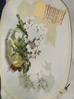 https://s3.moifotki.org/z/06edb01537f24fe5ad97690a01389145.jpg