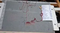 https://s3.moifotki.org/z/1c038eeb0bca497ab6bda6464f3ffde0.jpg