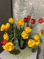 https://s3.moifotki.org/z/1cc812d35bdb41efa5c283988b67d2b0.jpg