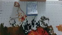 https://s3.moifotki.org/z/1d32ce46de044d56b1787096375201d9.jpg